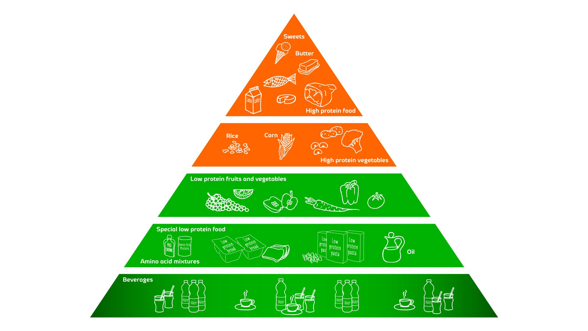 Food pyramid