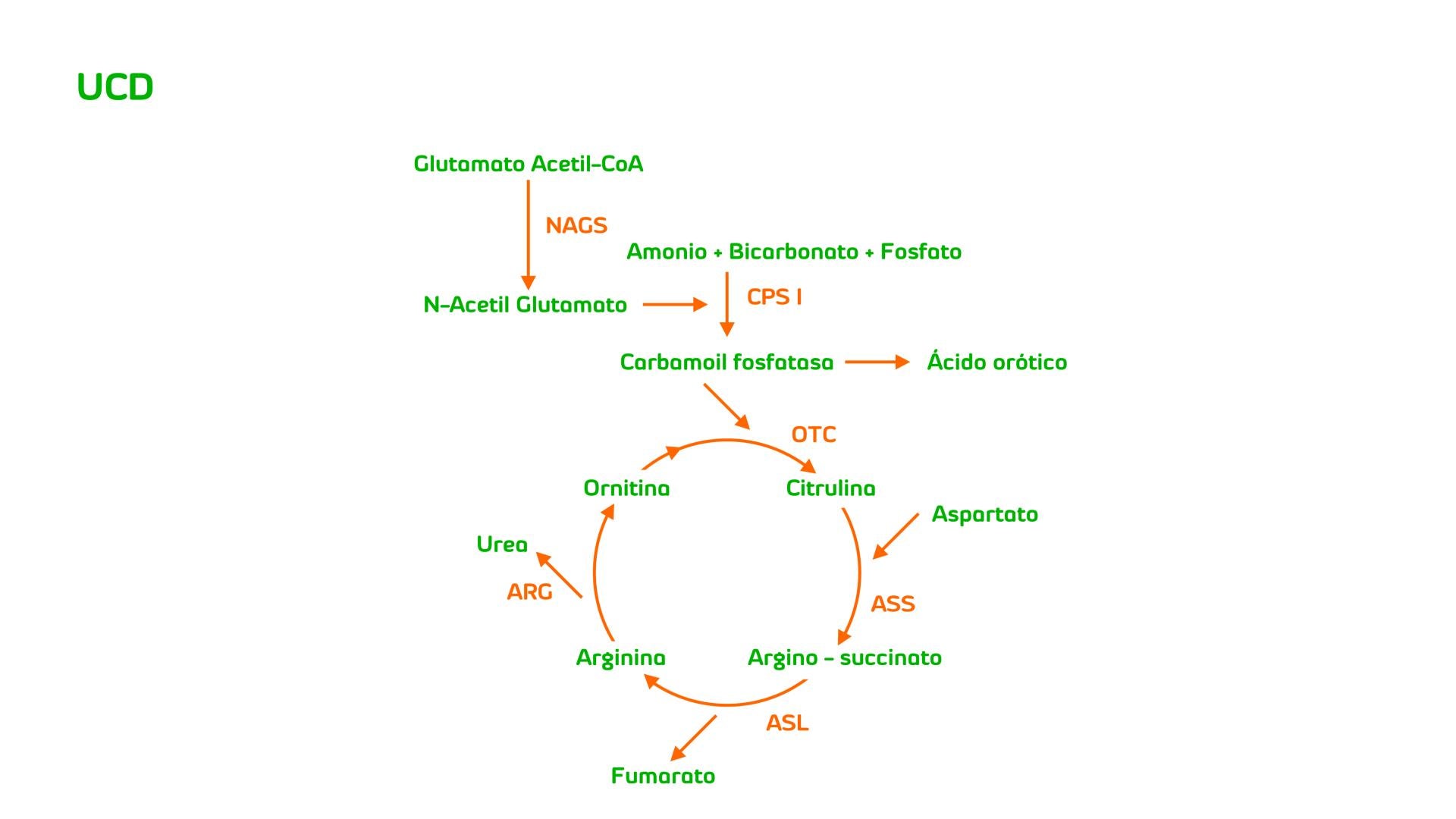 Trastornos del ciclo de la urea (TCU)